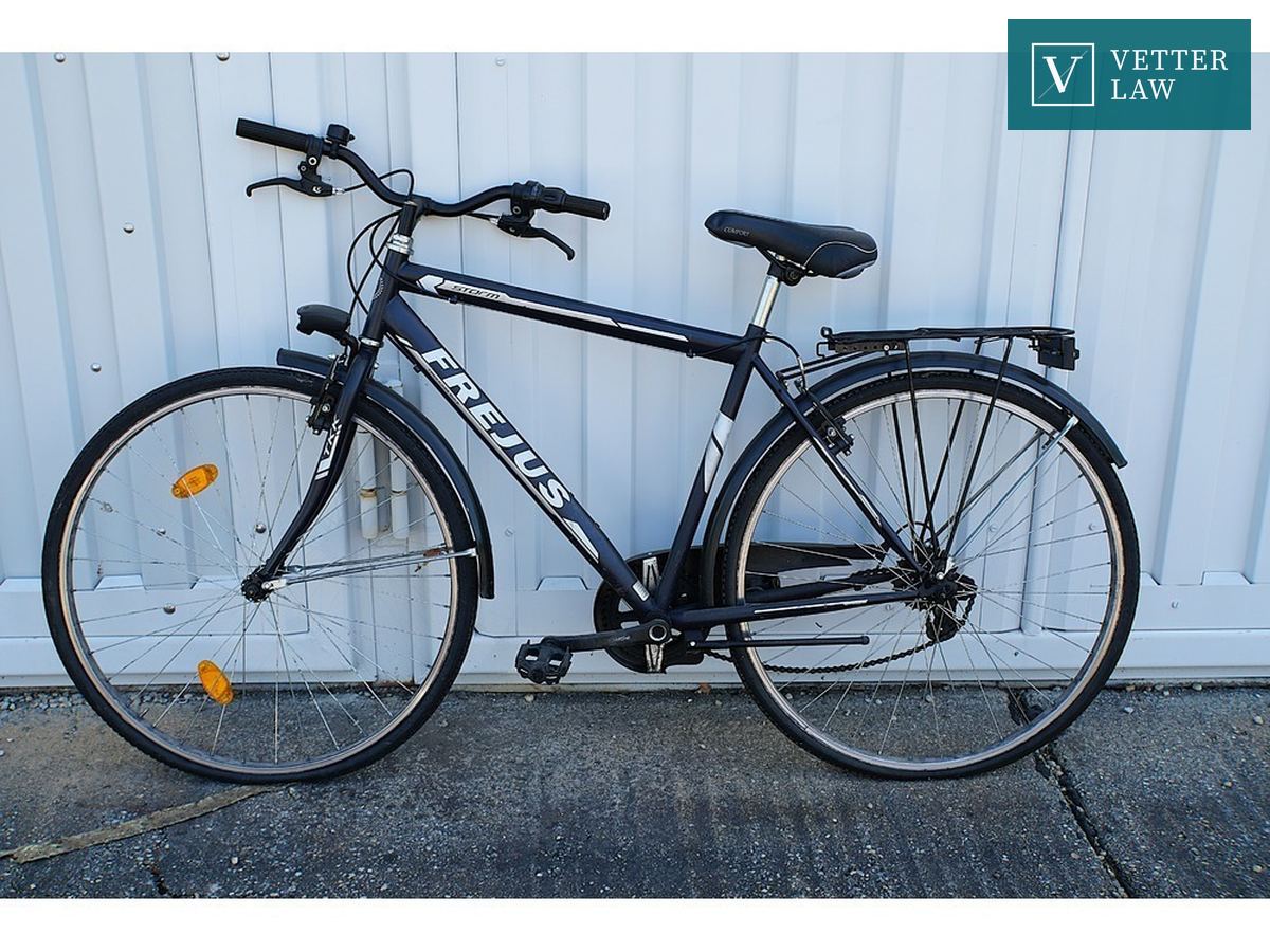 Trekkingbike Frejus "Storm" – Bild 1